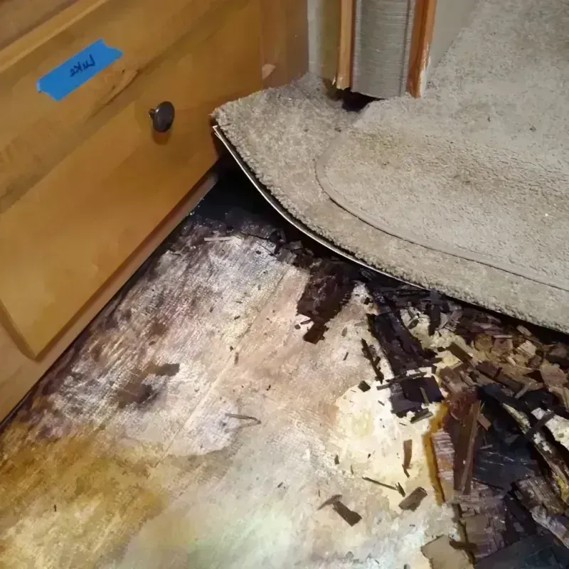 Best Wood Floor Water Damage Service in De Pere, WI